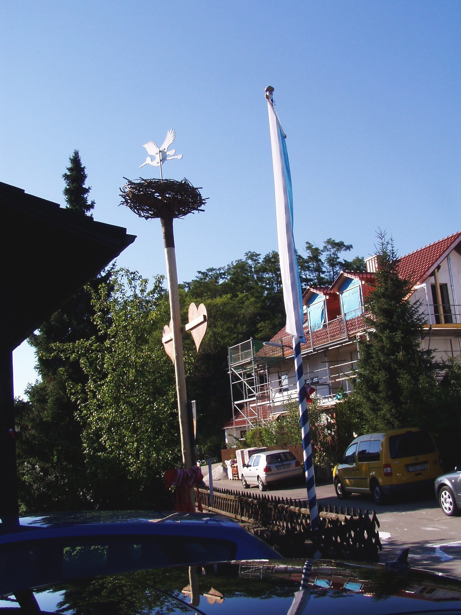 bbbaum_0.jpg  (632 kB)