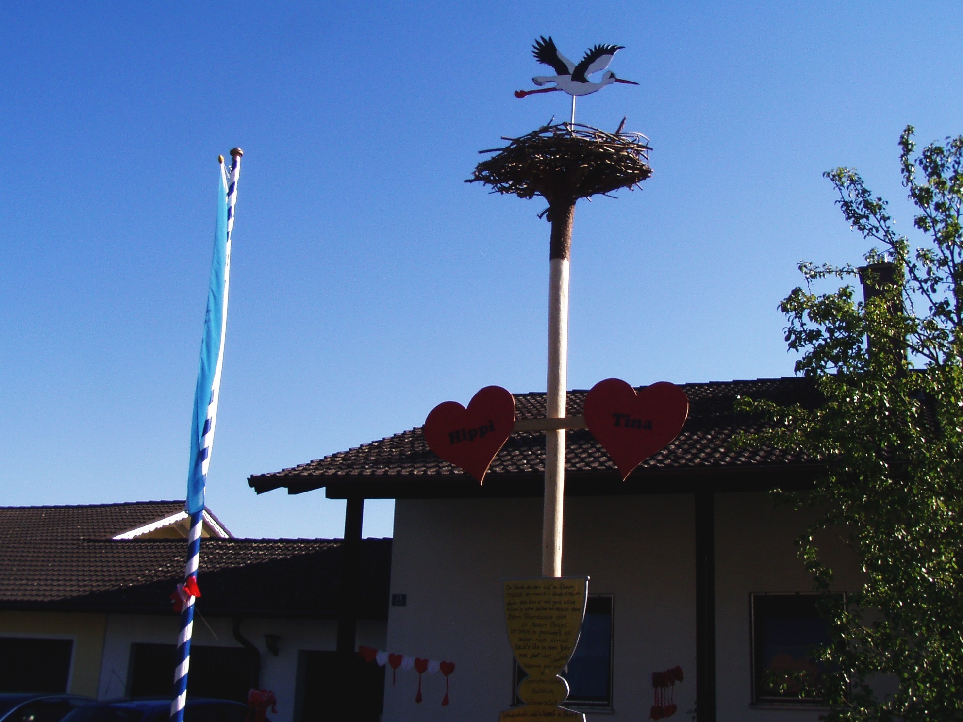 bbbaum_3.jpg  (548 kB)