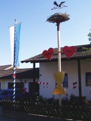 bbbaum_1.jpg  (488 kB)