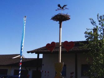 bbbaum_3.jpg  (548 kB)