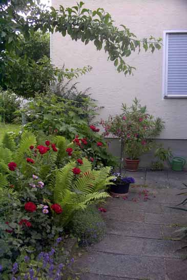 05034ulli-haus.jpg  (1,4 MB)