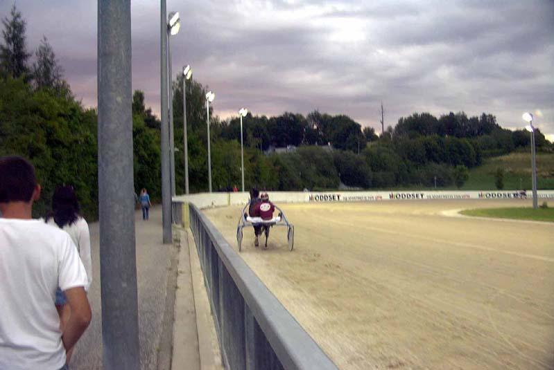 05040rennbahn.jpg  (680,5 kB)