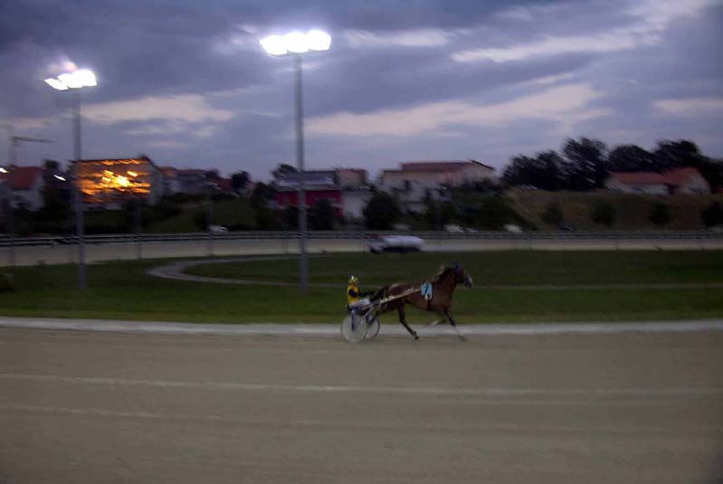 05042rennbahn.jpg  (444,5 kB)