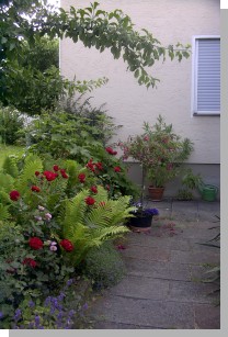 05034ulli-haus.JPG  (366 kB)